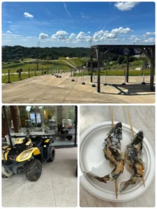 ネスタリゾート